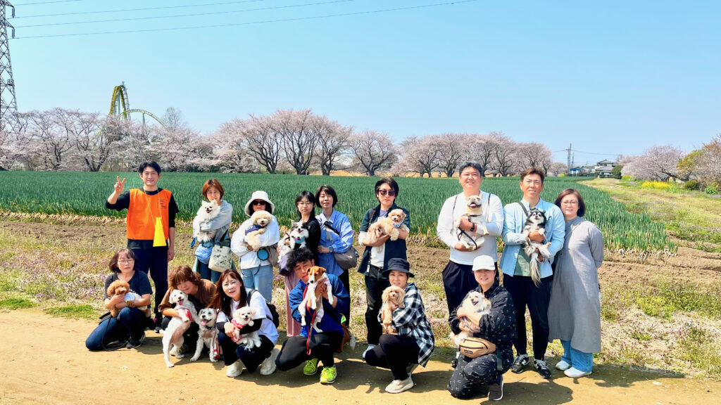 お花見パックウォークに参加した飼い主と犬たちの集合写真、満開の桜と畑を背景にした春の風景