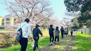 桜が咲く川沿いの道を犬と飼い主が群れで歩くパックウォークの風景
