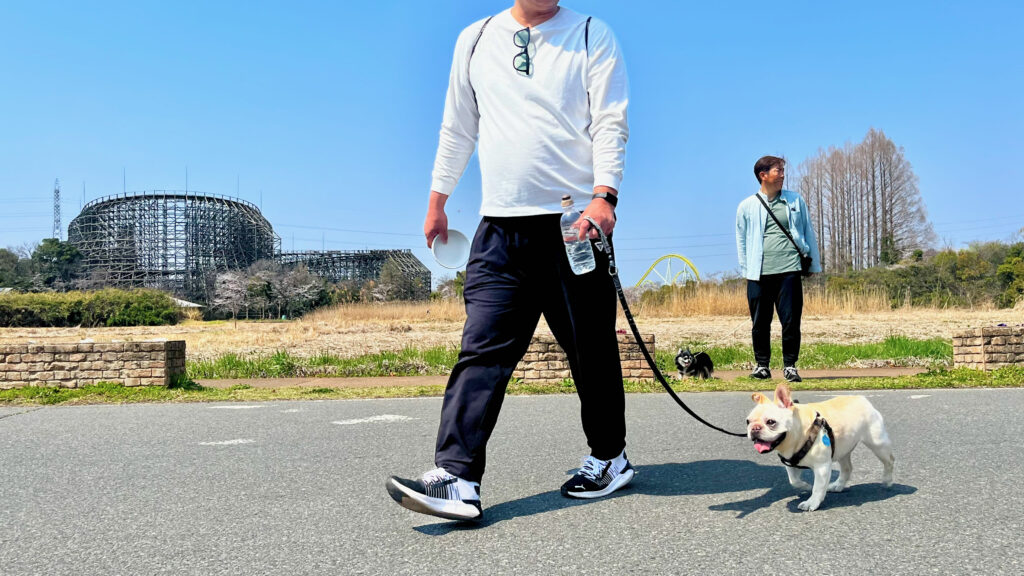 リードをつけた犬と飼い主が落ち着いて並んで歩くトレーニング中の様子