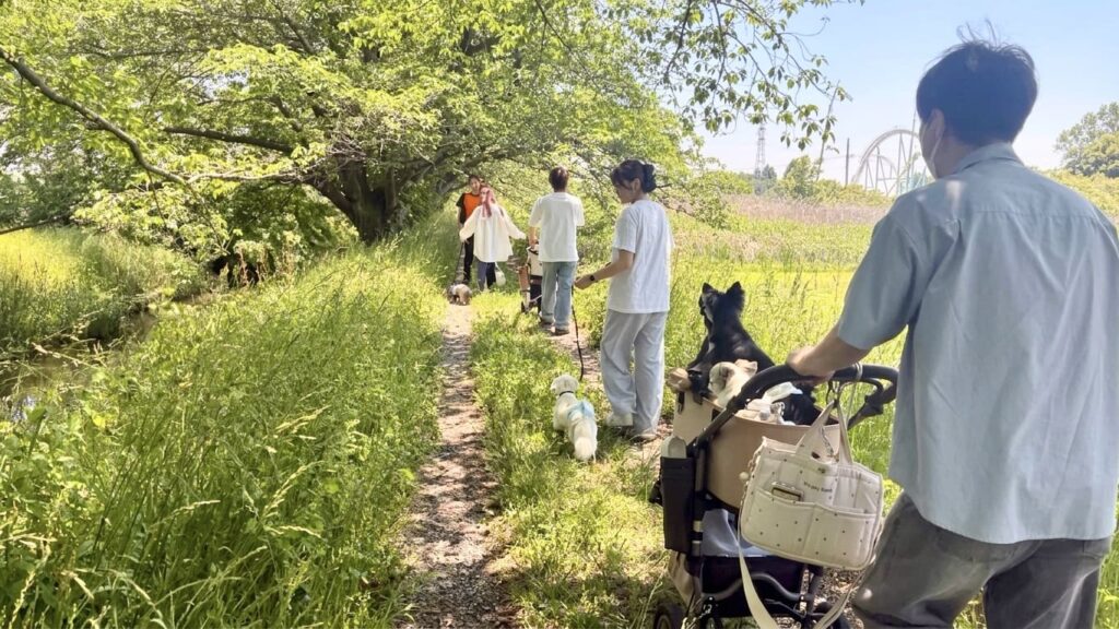 自然豊かな散策路を、愛犬と一緒に歩く「散策ドッグウォーク」の様子。木漏れ日の中、参加者同士が交流しながらゆったりと散歩を楽しんでいる風景。