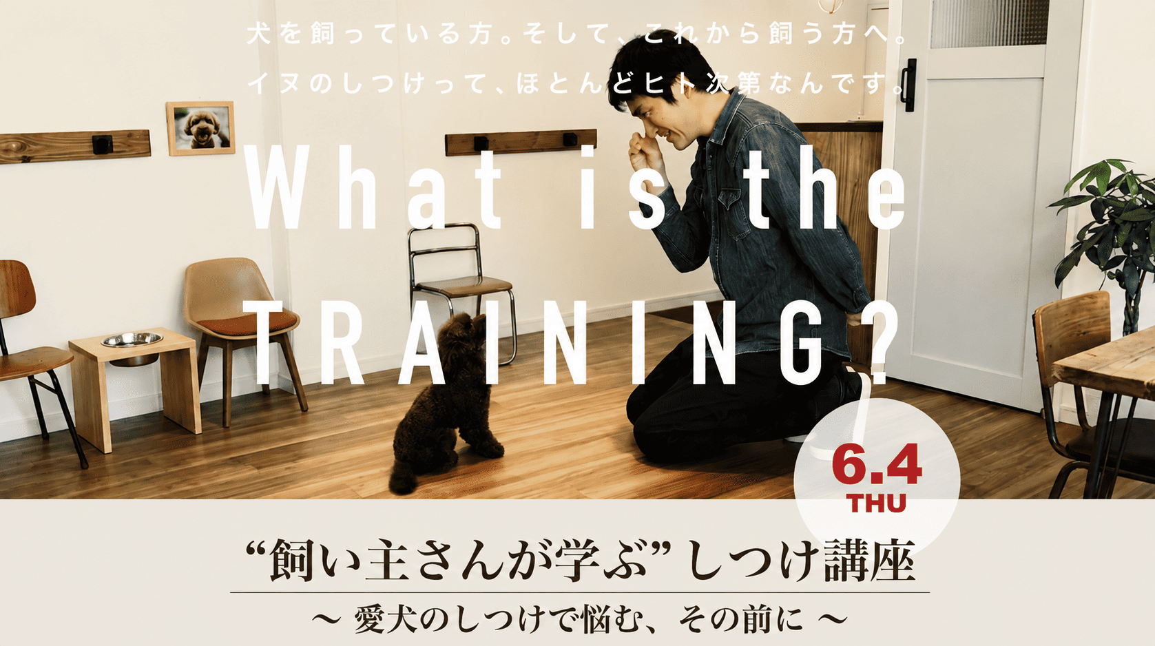 ドッグトレーニングルームで、トイプードルと向き合いながらコミュニケーションを取る男性講師。「“飼い主さんが学ぶ”しつけ講座」の告知ビジュアル。