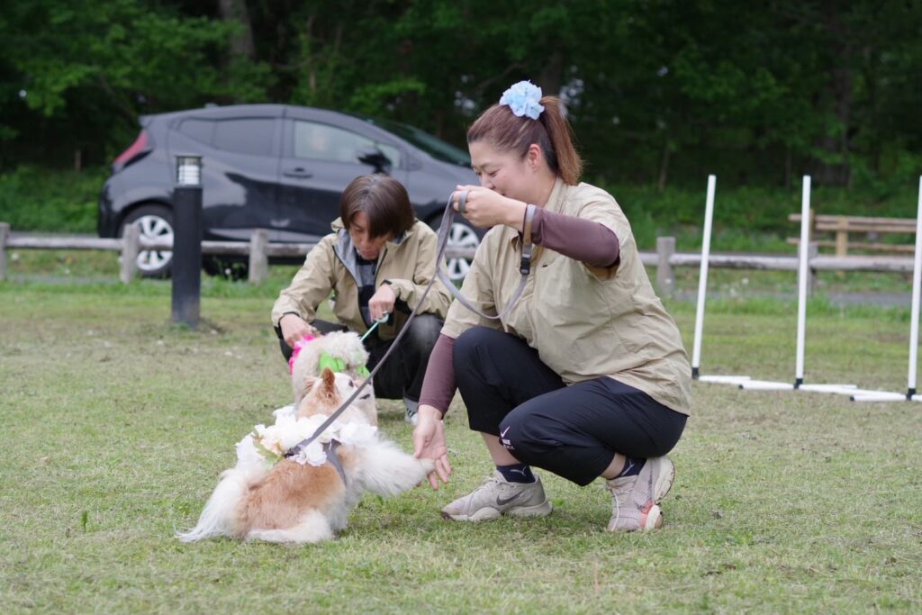 新しい村ドッグイベントで飼い主が愛犬に指示を出しコミュニケーションを取る様子