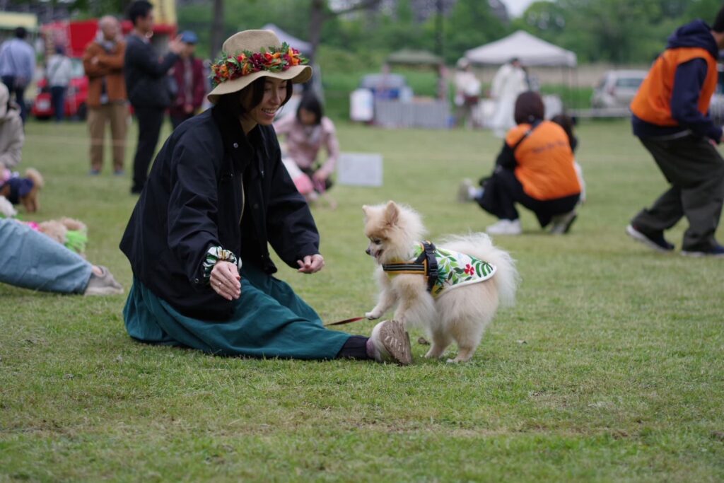 新しい村ドッグイベントで飼い主と小型犬が芝生で遊びながら触れ合う様子
