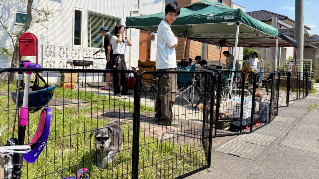 ドッグラン付きBBQ大会で交流を楽しむ愛犬家と犬たち|One for Dog