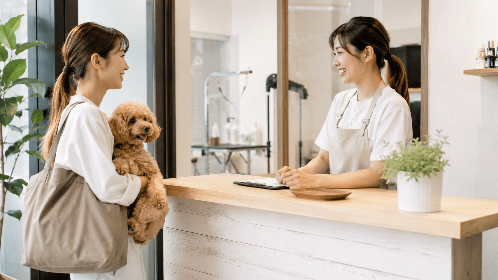 トリミングサロンの受付で、トイプードルを抱いた飼い主とトリマーが笑顔で会話している様子