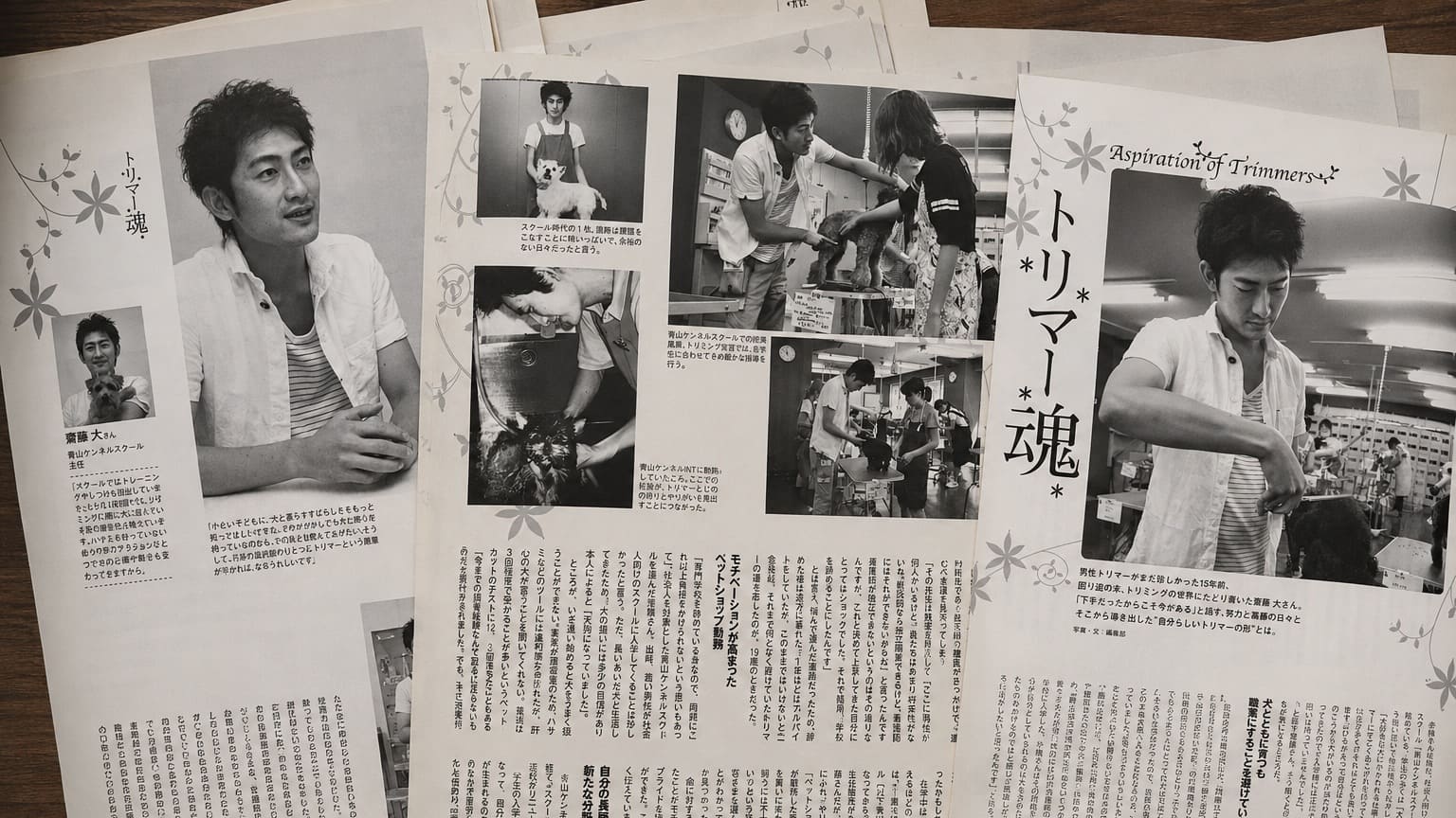過去に掲載されたトリマー雑誌の誌面を重ねて並べたイメージ。若き日の齋藤大がインタビューやトリミング実習の様子で紹介されており、「トリマー魂」をテーマにした特集ページがコラージュ風に配置されている。