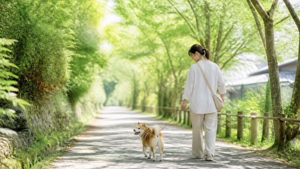 緑豊かな夏の散歩道を、愛犬とゆっくり歩く飼い主の後ろ姿