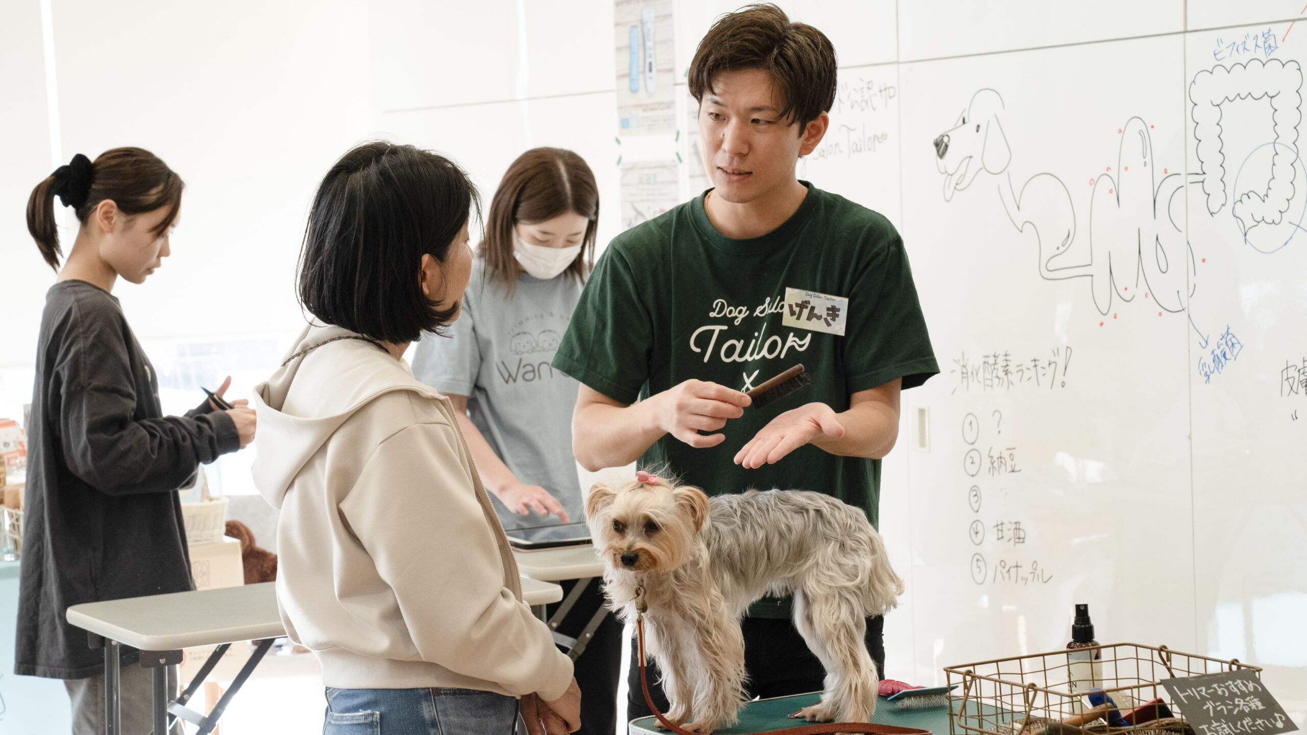 Dog Salon Tailorのトリマーが、飼い主へブラッシング方法を実演しながら説明している様子。ヨークシャー・テリアがお手入れ台に立ち、ホワイトボードを使ったレッスン形式で犬のお手入れを学んでいる風景。