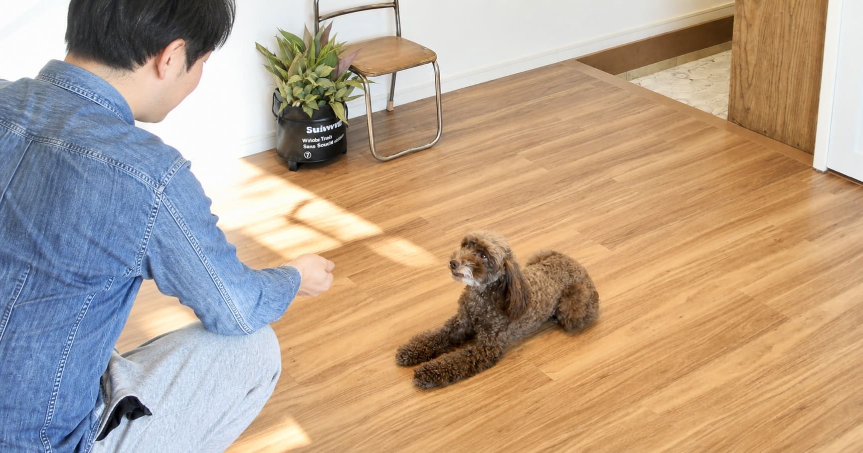 室内で伏せをする犬と向き合うドッグトレーナー